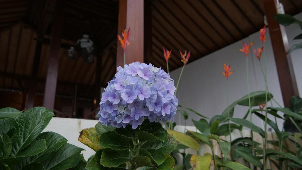 Sanggar Pantcha Indra Guest House Kemuning Exterior photo