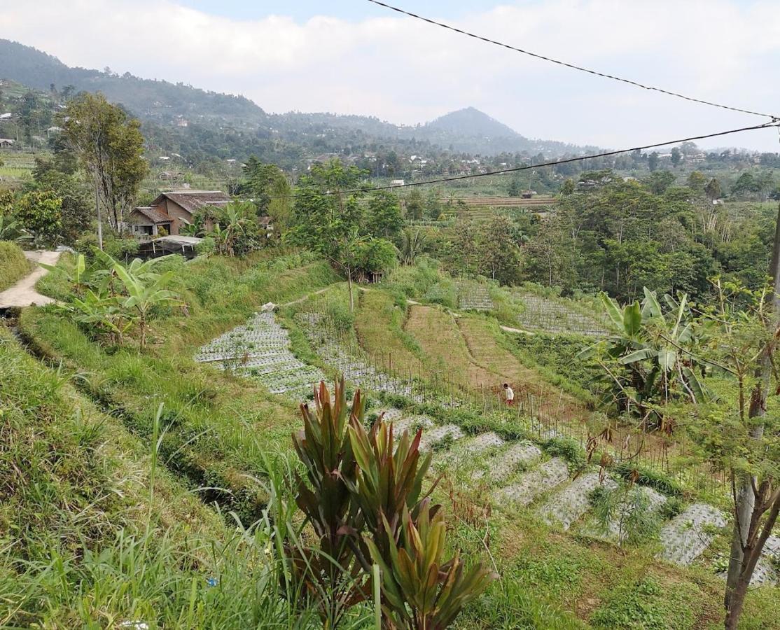 Sanggar Pantcha Indra Guest House Kemuning Exterior photo
